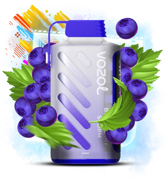 Vozol_GearPower_20000_BlueberryStorm